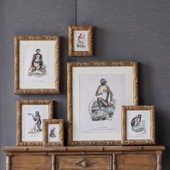 Matted Gold Frame Exotic Monkey Print