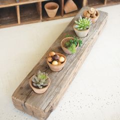 Mini Terra Cotta Planters In Wooden Base