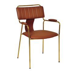 Modern Faux Leather Upholstered Dining Chair