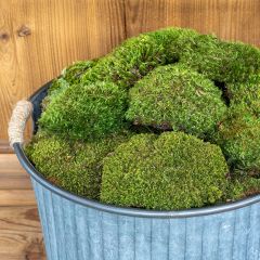 Mood Moss Box 1.75 Cubic Feet