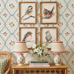 Named Bird Print Wall Art Set of 4