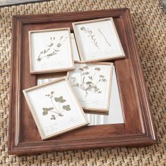 Natural Accents Framed Botanical Prints Set of 4
