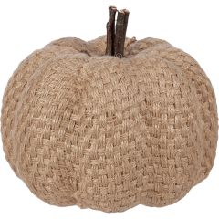 Natural Autumn Pumpkin Collection 5.5 inch