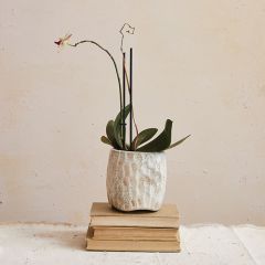 Neutral Accents Reactive Glaze Terracotta Planter