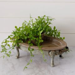 Oval Wood Display Bowl With Clawfoot Stand