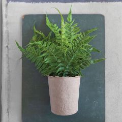 Paper Potted Faux Fern
