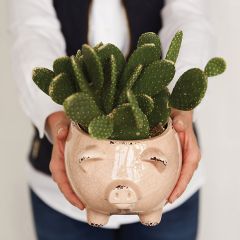 Pastel Stoneware Pig Planter Set of 3