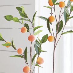 Peach Branch Spray