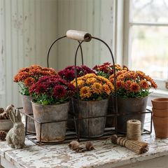 Plant Carrier With 6 Buckets