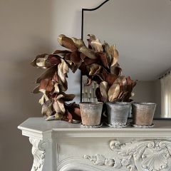 Plant Pots and Pleated Saucers