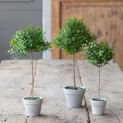 Potted Artificial Topiary