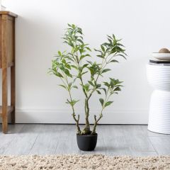 Potted Faux Japanese Andromeda 32 Inch