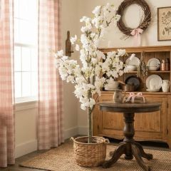 Potted White Cherry Blossom Tree