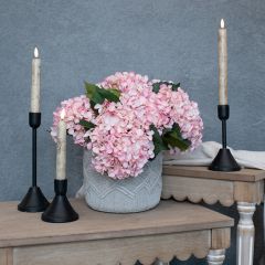 Pretty Pink Hydrangea Stem