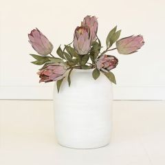 Protea Bud Botanical Stem