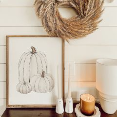 Pumpkin Trio White Wall Art