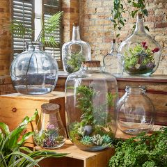 Recycled Clear Glass Terrarium