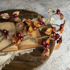 Red Autumn Berry Spray