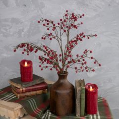 Red Berry Stem