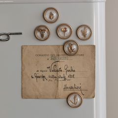 Round Botanical Magnets Set of 6