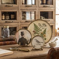 Round Botanist Display Frame With Stand Set of 3