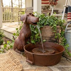 Rustic Dog Water Fountain