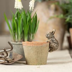 Rustic Gold Bunny with Leg Up Pot Hugger