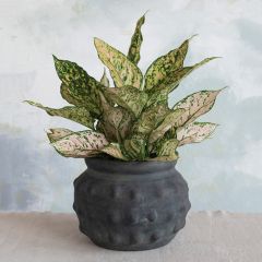 Rustic Matte Terracotta Vase Pot