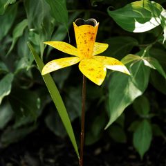 Rustic Metal Daffodil Garden Stake