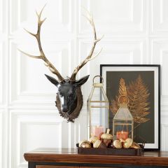 Rustic Woodland Wall Mount Deer Head