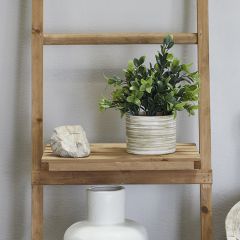 Simple Classics Potted Plant Arrangement