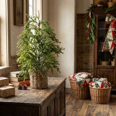 Snowy Forest Pine Tree in Basket