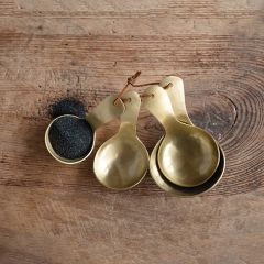 Sophisticated Metal Measuring Spoon Set of 4
