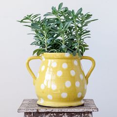 Terracotta Polka Dot Planter