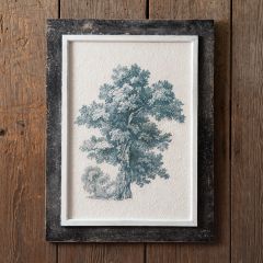 Textured English Oak Tree Framed Wall Art