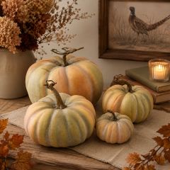 Twisted Stem Harvest Pumpkin