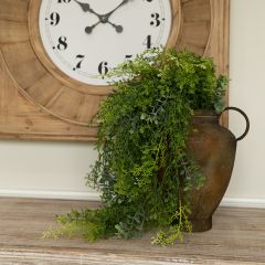 Weeping Eucalyptus And Mini Leaf Bush Set of 2