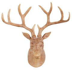 Whitewash Wall Mount Deer Head
