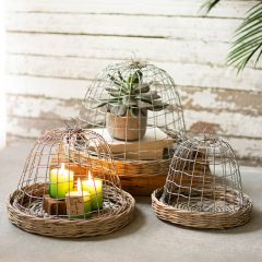 Wire Cloche With Wicker Base Set of 3