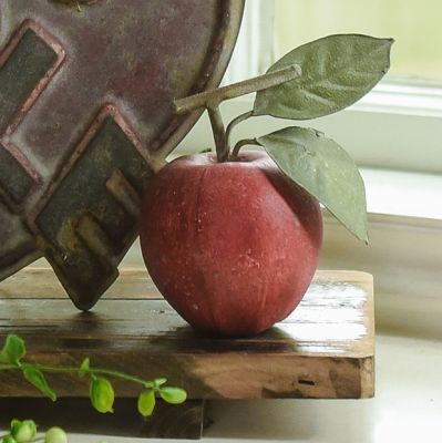 Decorative Orchard Apple Set of 2