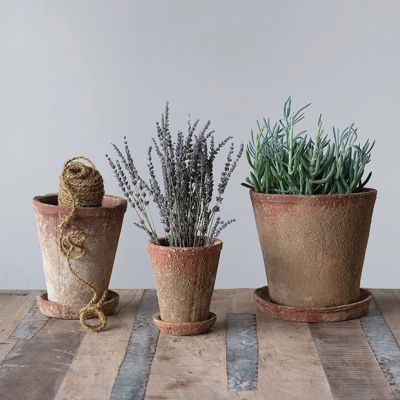 2 Piece Distressed Terra Cotta Planter With Saucer Set of 3