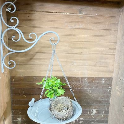 Hanging Tray Planter With Scrollwork Bracket