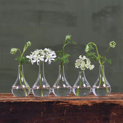 5 Glass Vase Joined Centerpiece Display