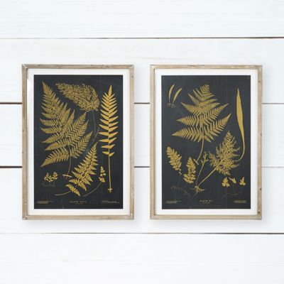 Botanical Framed Fern Print