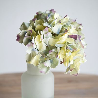 Delicate Pastel-Hued Hydrangea Stem Set of 6