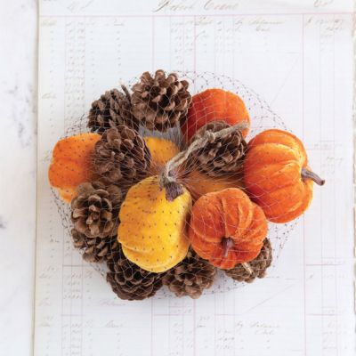 Autumn Harvest Pumpkins And Pinecones Assortment Bundle