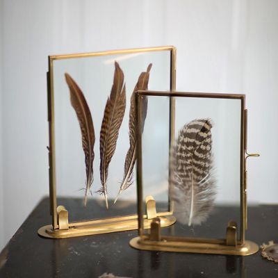 Brass Framed Glass Covered Feathers with Stand
