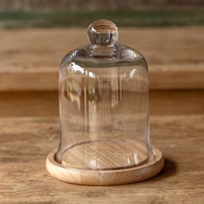 Small Glass Dome With Wooden Base