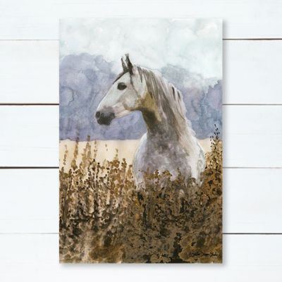 Horse In Field Canvas Wall Art