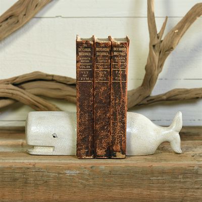Cast Iron Whale Bookend